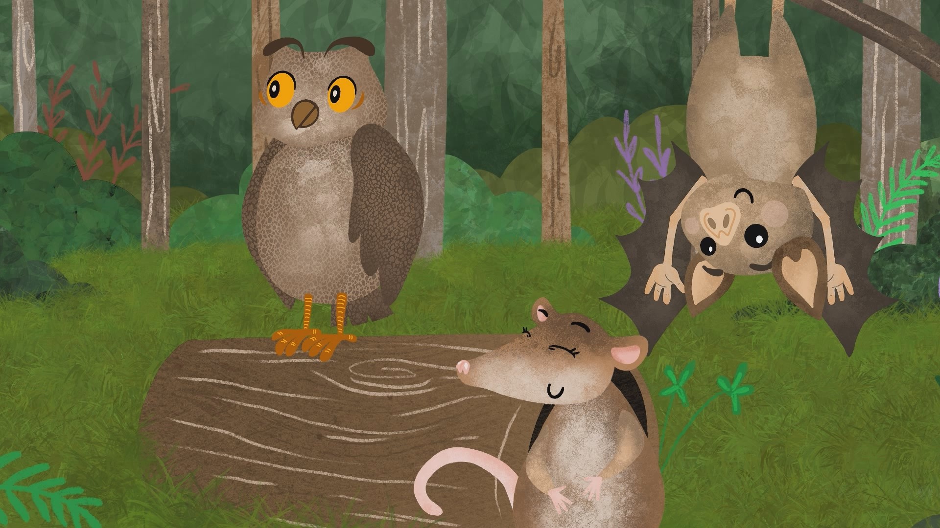 Mini serie animada educativa – Explora